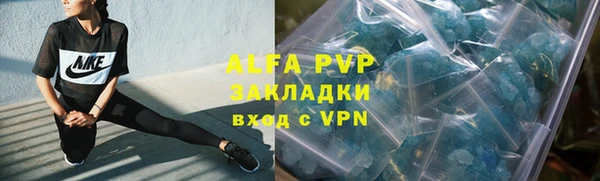 мескалин Богданович