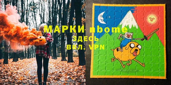 соль ск Бородино