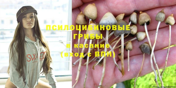 мескалин Богданович
