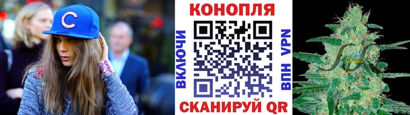 ОМГ ОМГ ССЫЛКА  Тосно  Бошки Шишки семена 
